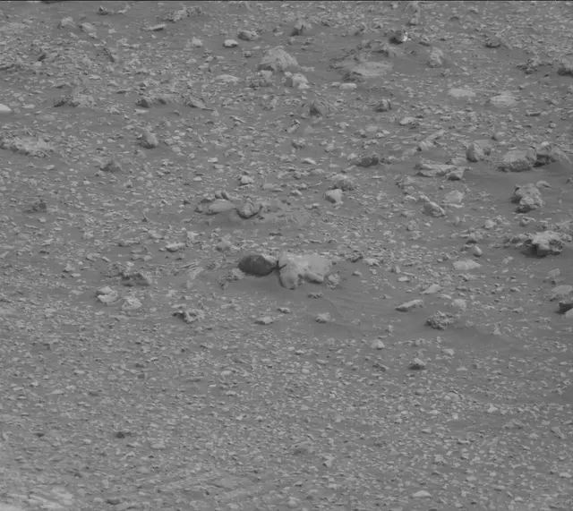 Sol 2169: Mast Camera (Mastcam)