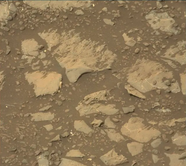 Sol 2171: Mast Camera (Mastcam)