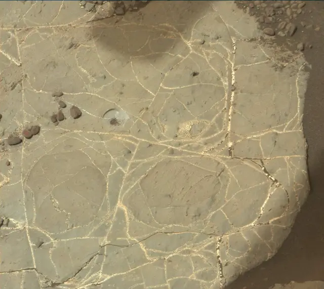 Sol 2216: Mast Camera (Mastcam)
