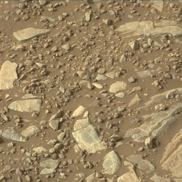 Sol 2218: Mast Camera (Mastcam)