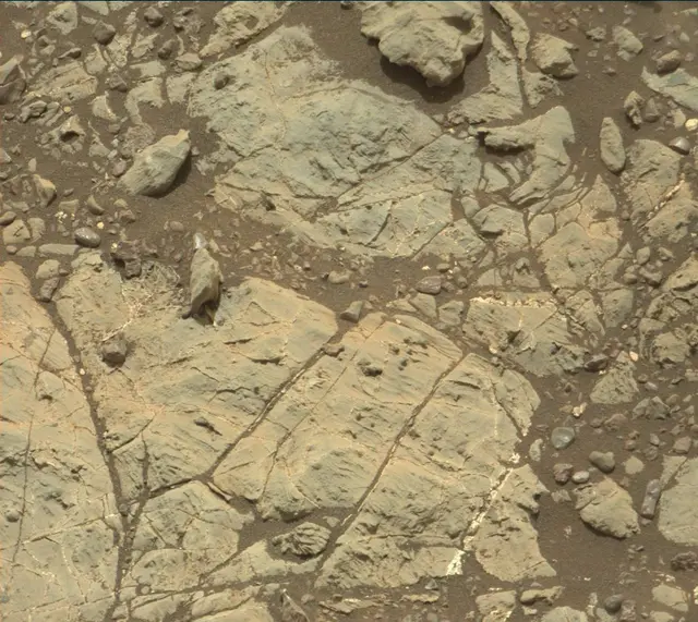 Sol 2219: Mast Camera (Mastcam)