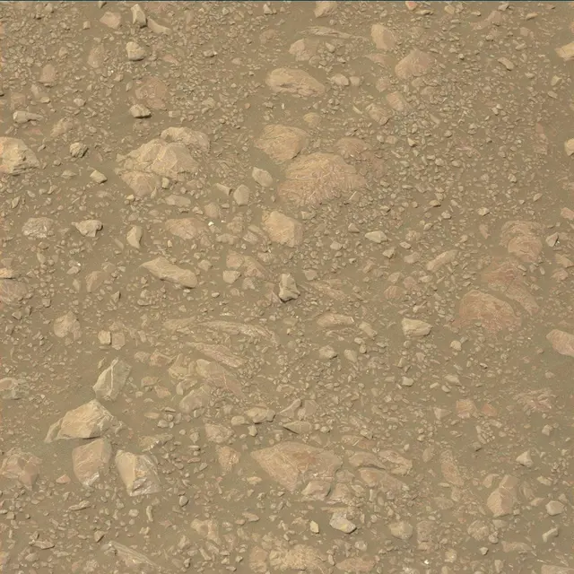 Sol 2221: Mast Camera (Mastcam)