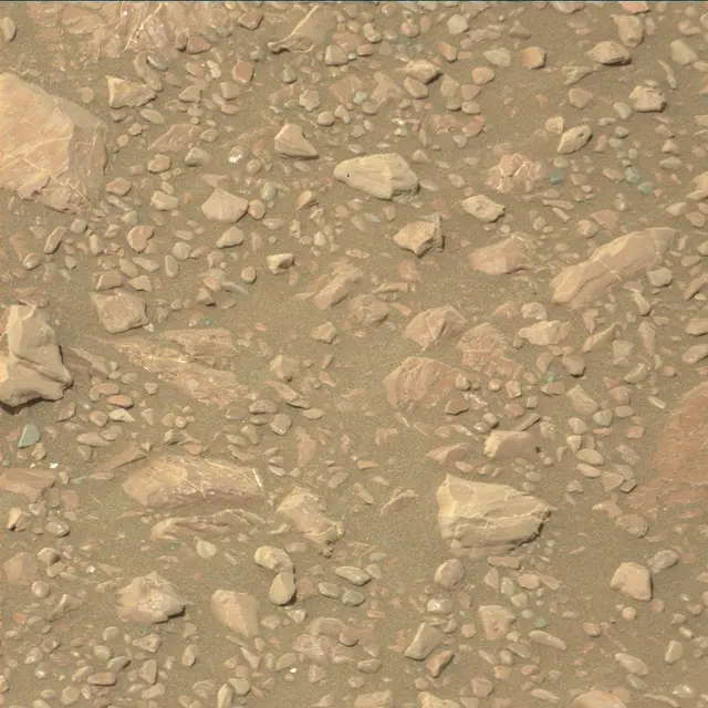 Sol 2221: Mast Camera (Mastcam)