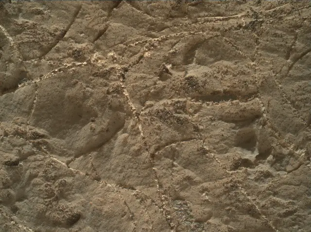 Sol 2221: Mars Hand Lens Imager (MAHLI)
