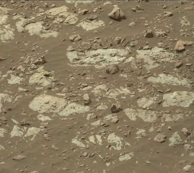 Sol 2222: Mast Camera (Mastcam)