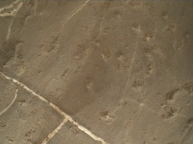 Sol 2223: Mars Hand Lens Imager (MAHLI)