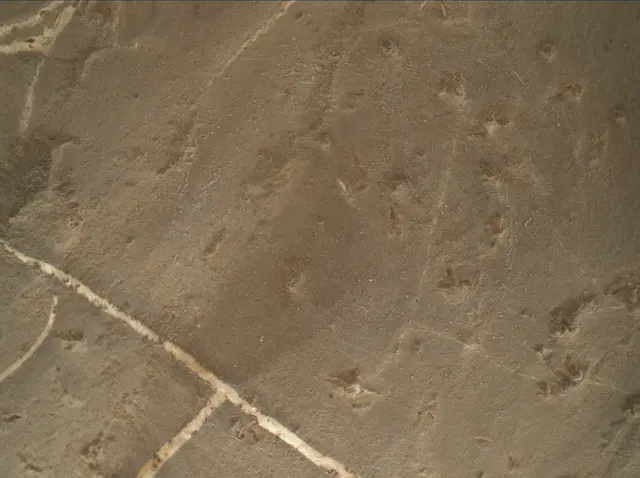 Sol 2223: Mars Hand Lens Imager (MAHLI)