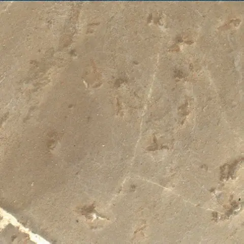 Sol 2223: Mars Hand Lens Imager (MAHLI)