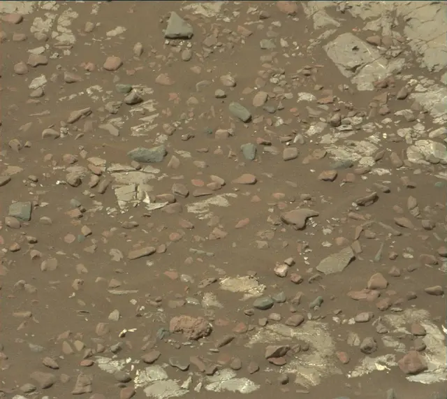 Sol 2231: Mast Camera (Mastcam)