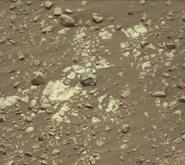 Sol 2247: Mast Camera (Mastcam)