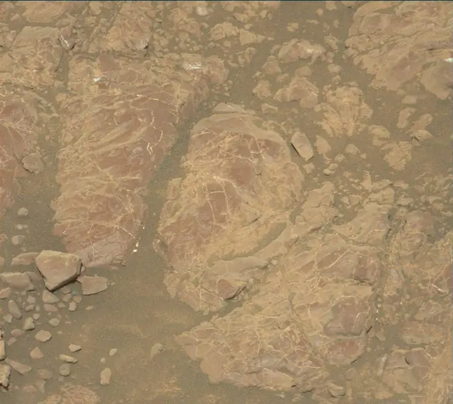 Sol 2252: Mast Camera (Mastcam)