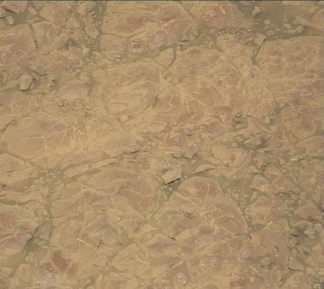 Sol 2254: Mast Camera (Mastcam)