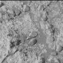 Sol 2256: Mast Camera (Mastcam)