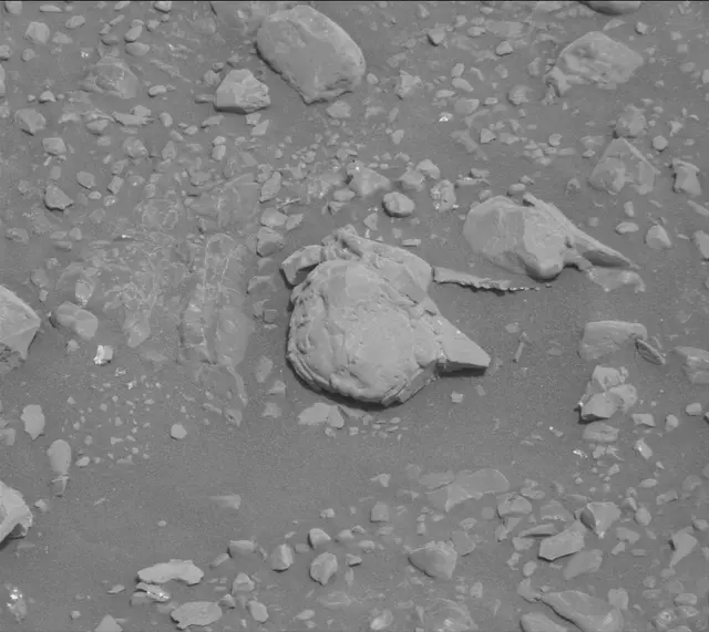 Sol 2298: Mast Camera (Mastcam)