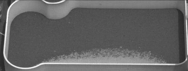 Sol 2299: Mast Camera (Mastcam)