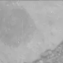 Sol 2302: Mast Camera (Mastcam)