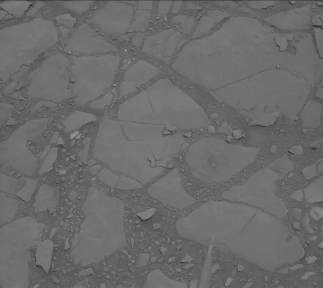 Sol 2302: Mast Camera (Mastcam)