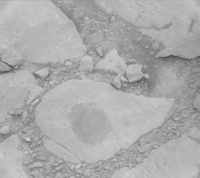 Sol 2302: Mast Camera (Mastcam)