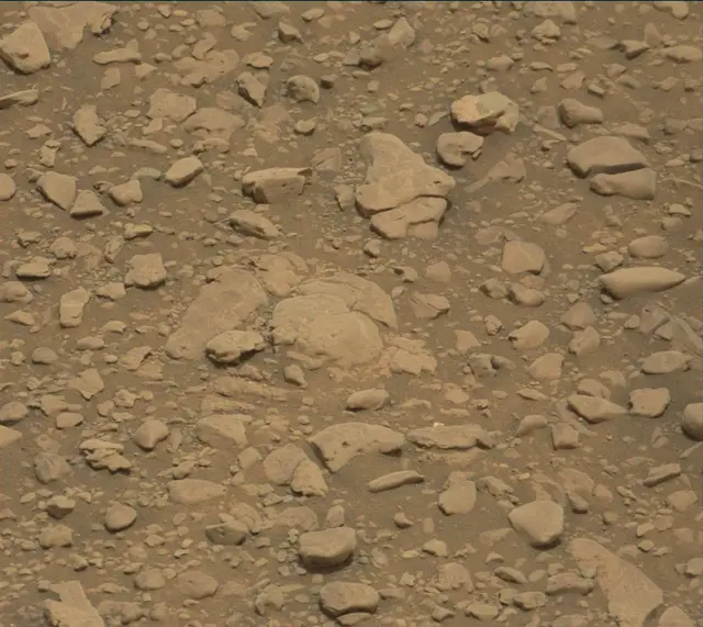 Sol 2304: Mast Camera (Mastcam)
