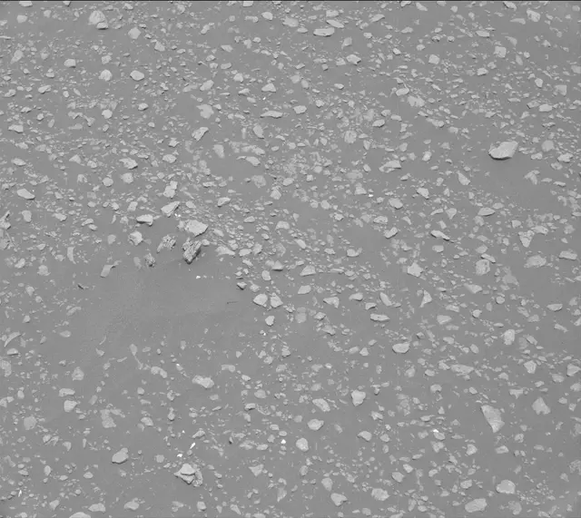 Sol 2313: Mast Camera (Mastcam)