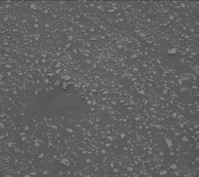 Sol 2313: Mast Camera (Mastcam)