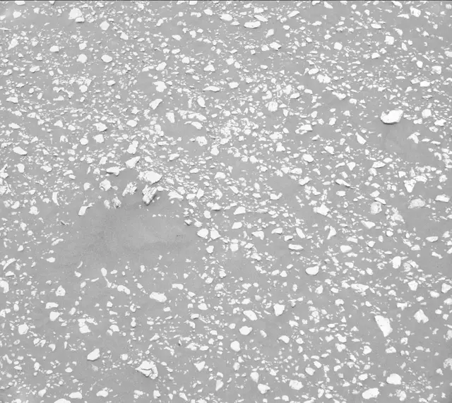 Sol 2313: Mast Camera (Mastcam)