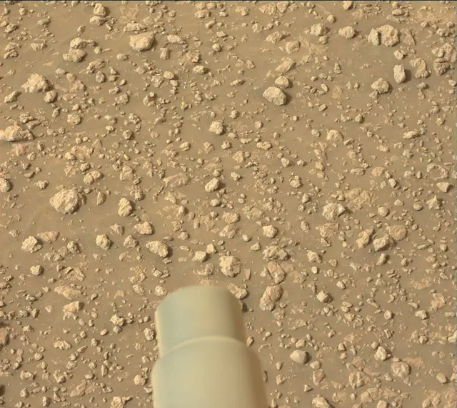 Sol 2313: Mast Camera (Mastcam)