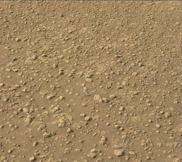 Sol 2313: Mast Camera (Mastcam)