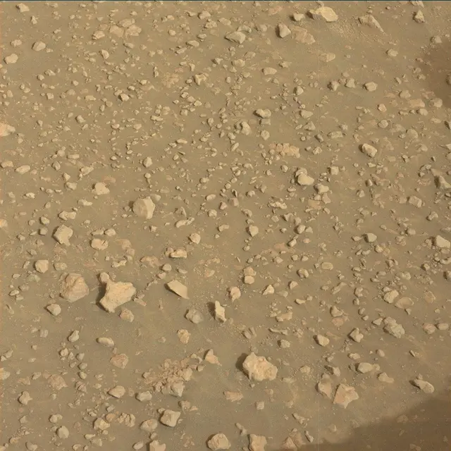 Sol 2313: Mast Camera (Mastcam)