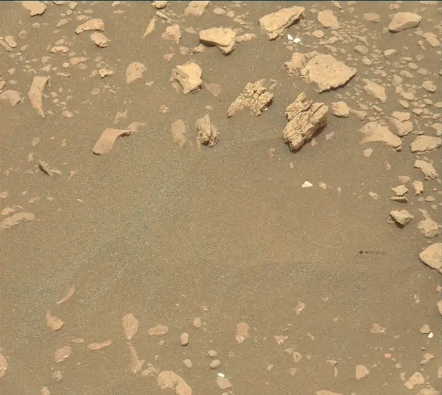 Sol 2313: Mast Camera (Mastcam)