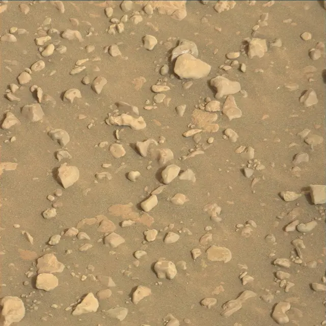 Sol 2313: Mast Camera (Mastcam)