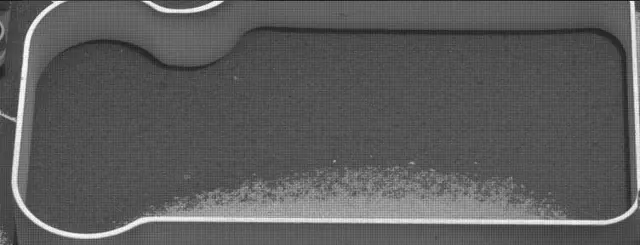 Sol 2314: Mast Camera (Mastcam)
