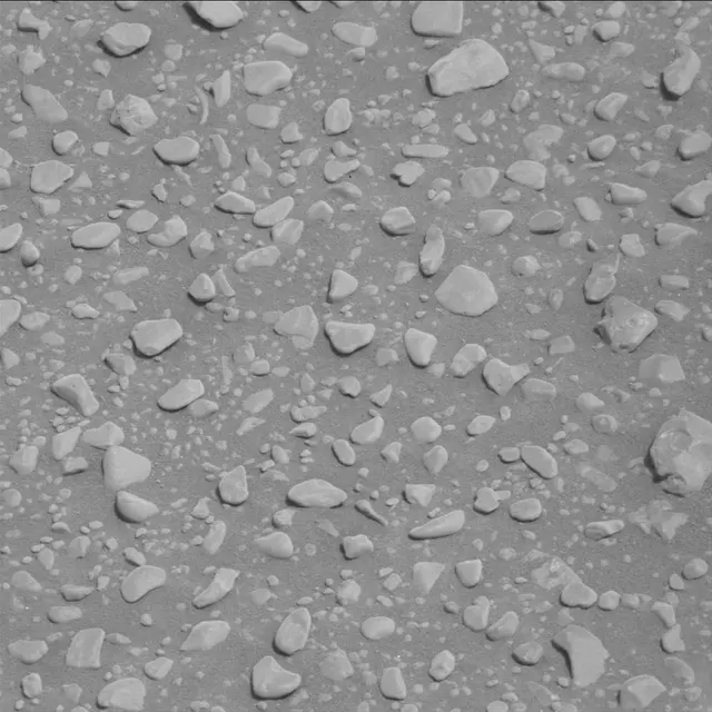Sol 2316: Mast Camera (Mastcam)