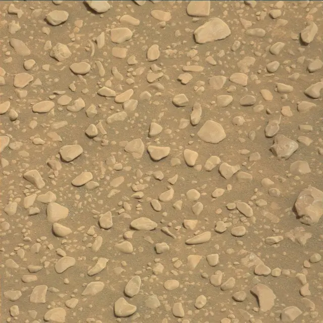 Sol 2316: Mast Camera (Mastcam)