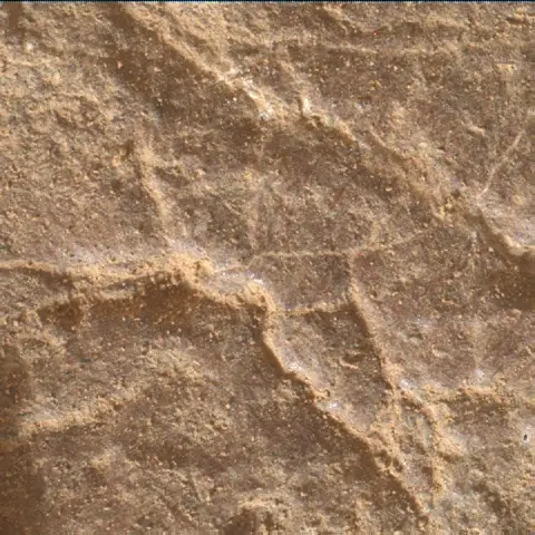 Sol 2318: Mars Hand Lens Imager (MAHLI)