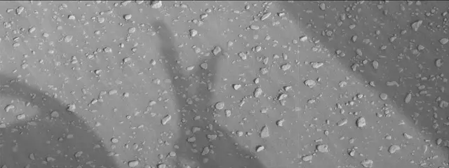 Sol 2320: Mast Camera (Mastcam)