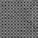 Sol 2320: Mast Camera (Mastcam)