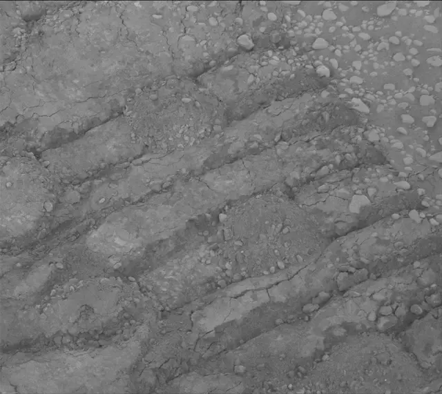 Sol 2320: Mast Camera (Mastcam)