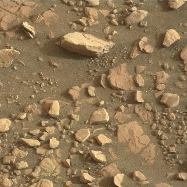 Sol 2320: Mast Camera (Mastcam)
