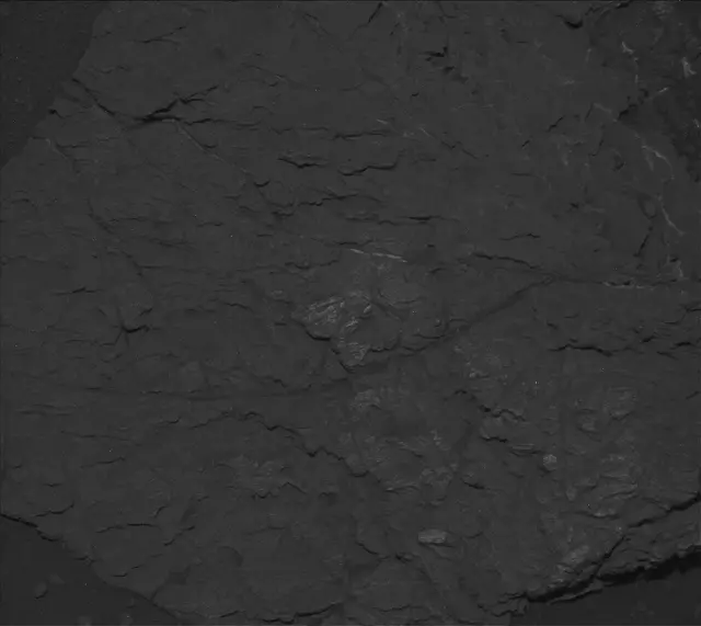 Sol 2320: Mast Camera (Mastcam)
