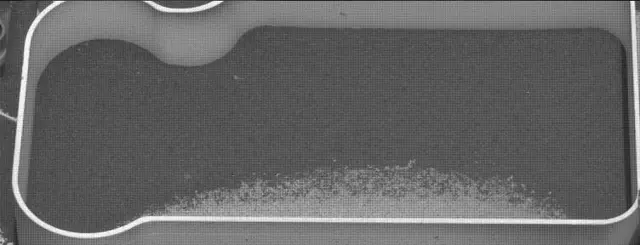 Sol 2333: Mast Camera (Mastcam)