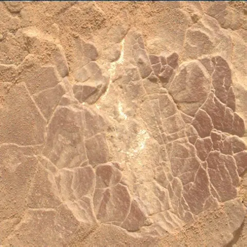 Sol 2339: Mars Hand Lens Imager (MAHLI)