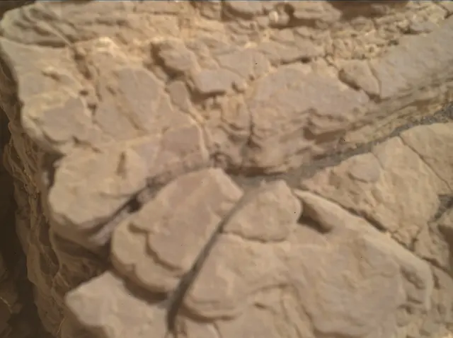 Sol 2339: Mars Hand Lens Imager (MAHLI)