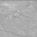 Sol 2347: Mast Camera (Mastcam)