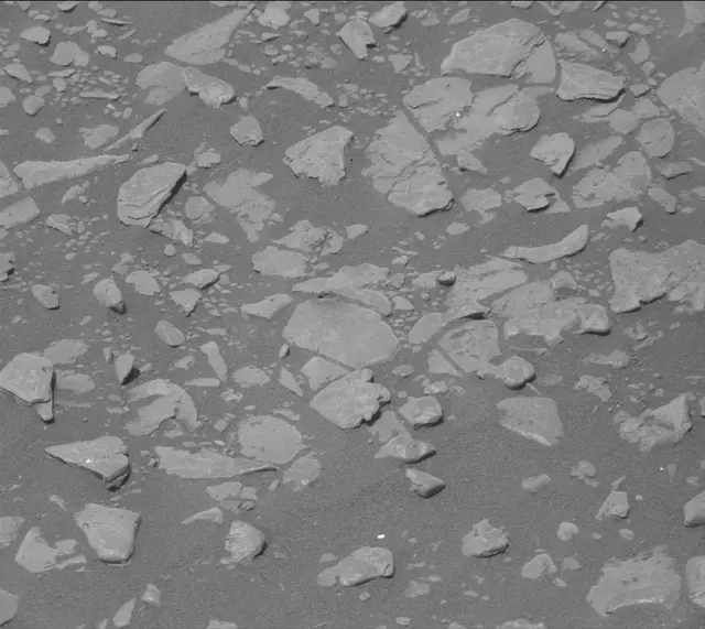 Sol 2361: Mast Camera (Mastcam)