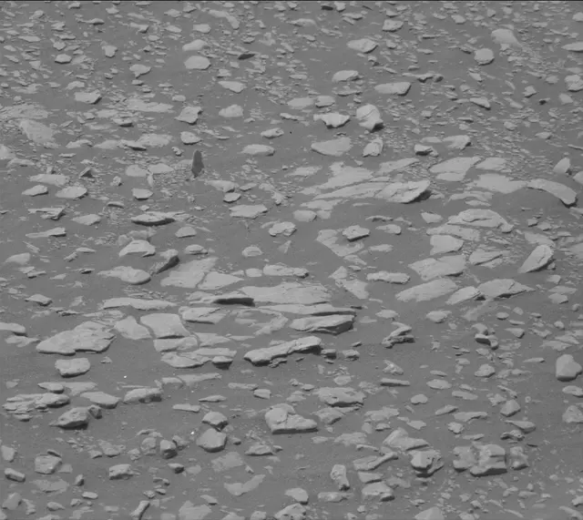Sol 2361: Mast Camera (Mastcam)