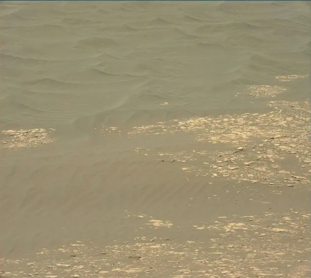Sol 2364: Mast Camera (Mastcam)