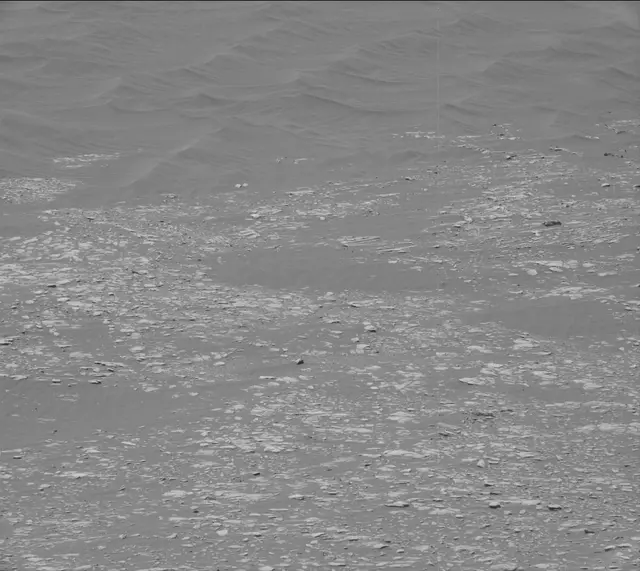 Sol 2364: Mast Camera (Mastcam)