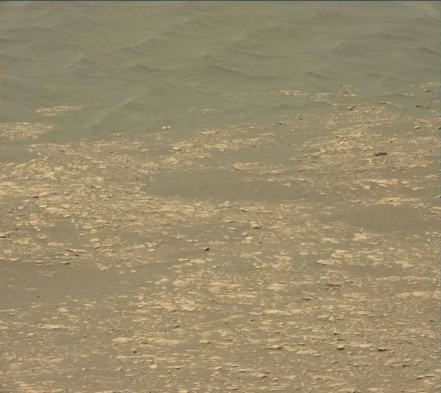 Sol 2364: Mast Camera (Mastcam)