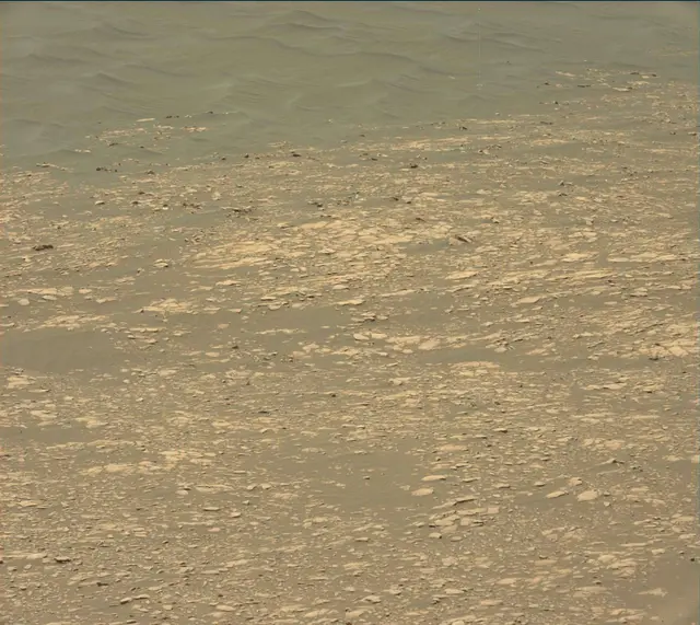 Sol 2364: Mast Camera (Mastcam)